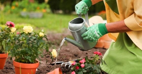 10 Gardening Hacks Every Plant Lover Should Know