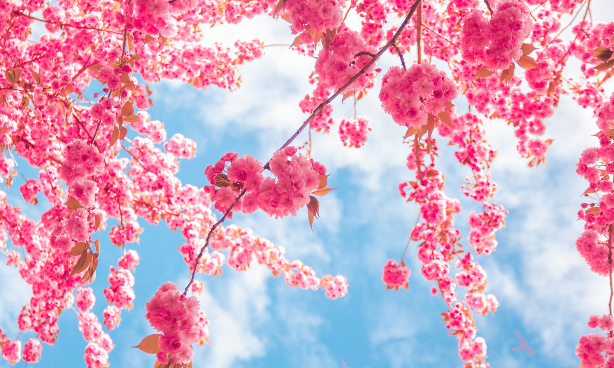 How to Spring Clean Your Finances with a Financial Review