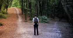 What Is a Fee-Only Financial Advisor?