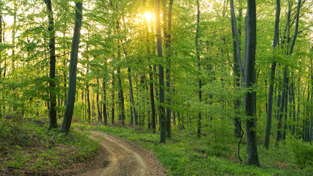 What Can the Best/Worst Stocks of 2021 Tell Us?