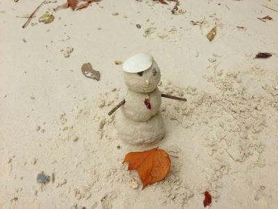 6 Easy Florida Winter Home Fixes Than Can Prevent Costly Claims