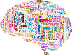 Dementia and Fructose: What You Need to Know About Protecting Your Brain