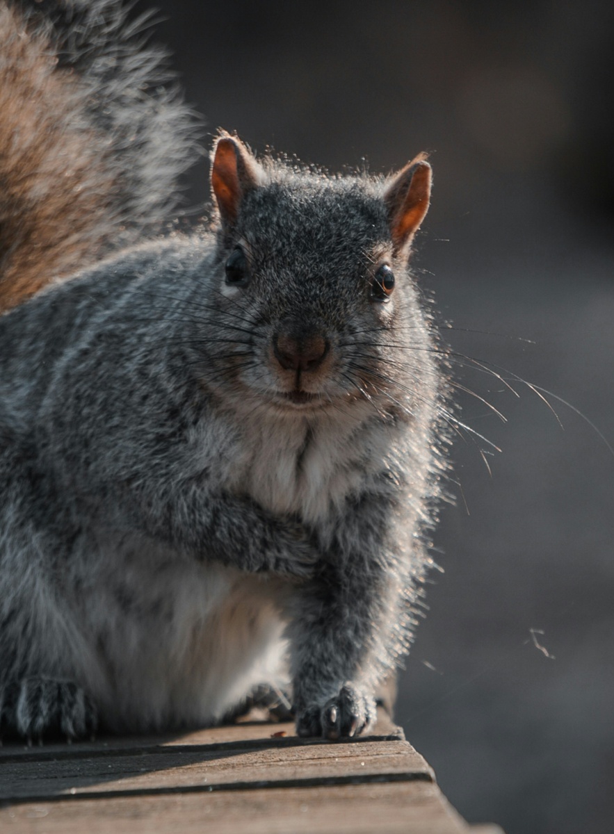 Weekly Market Insights | Markets Weather New Middle East Conflict