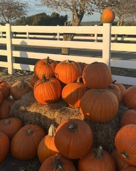 Fall Financial Check-In: 7 Things to Review Before the End of the Year