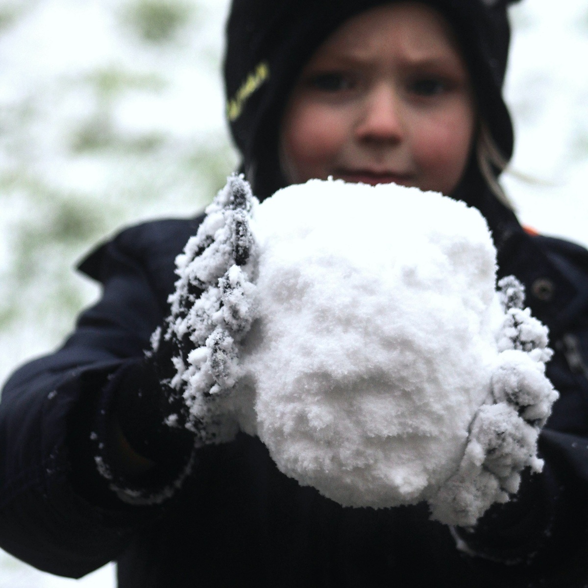 Snowballs and Dividends