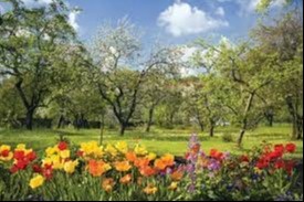 Spring Fever: Avoiding Impulse Spending During the Season of Renewal