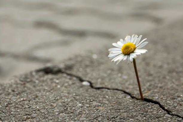 3 Ways to Build Financial Resilience