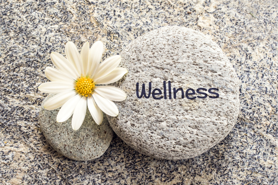 Financial Wellness Is Real—and It Can Affect Your Physical Health More Than You Think