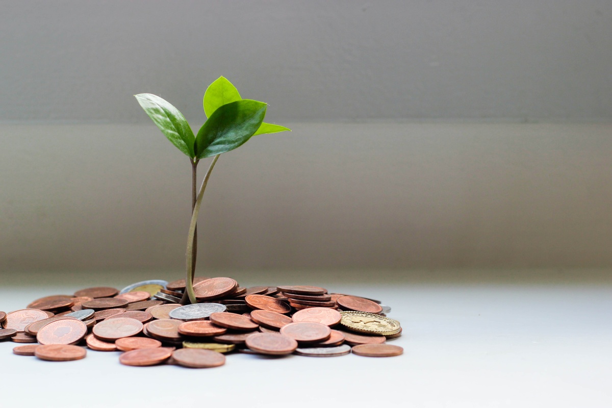 Traditional vs. Roth: What's the difference?