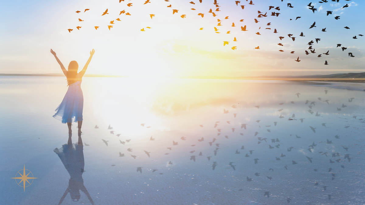 Financial Freedom, Market Volatility, and You