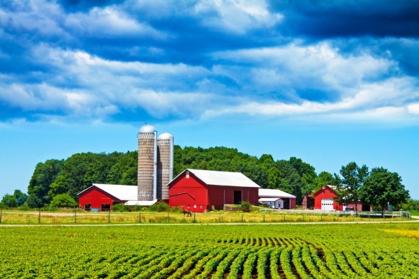 Is Your Farm Protected?