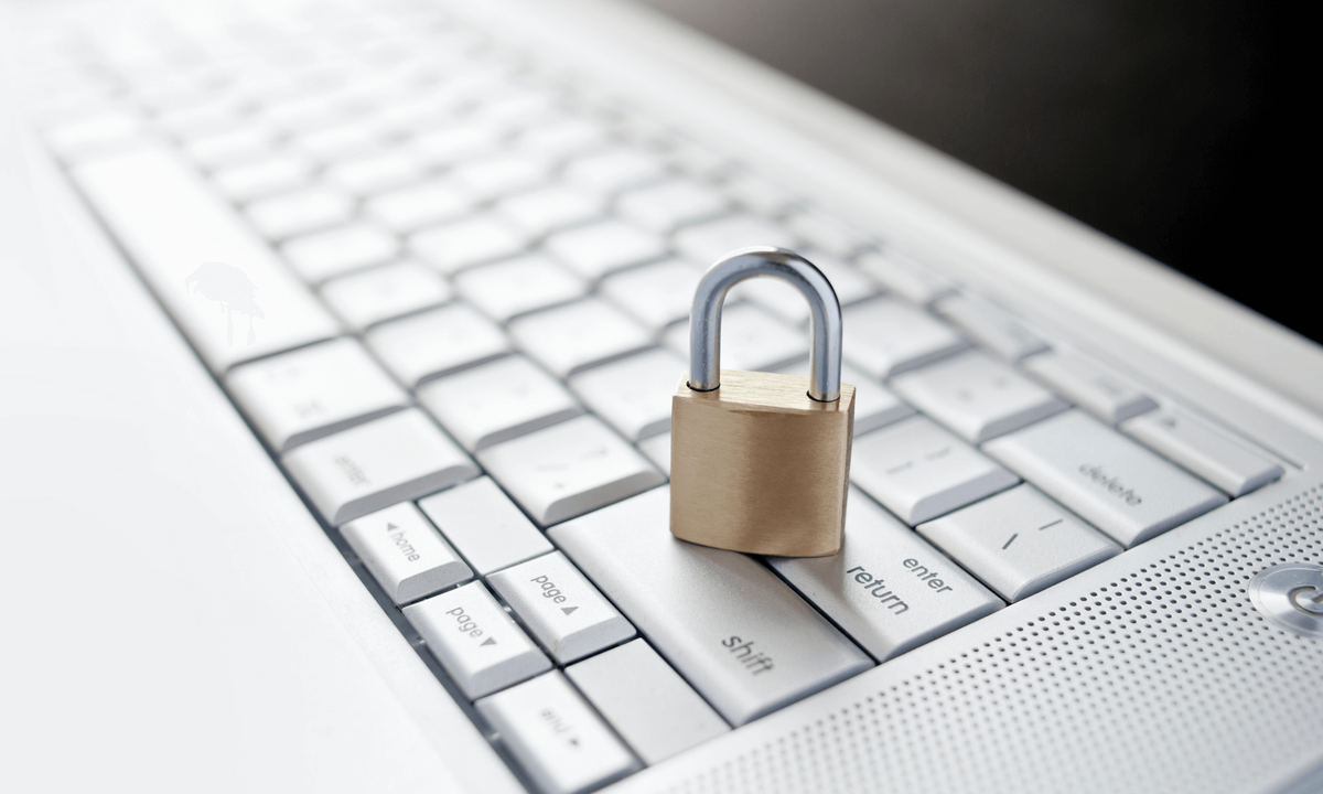 Protect Financial Information from Prying Eyes on the Web