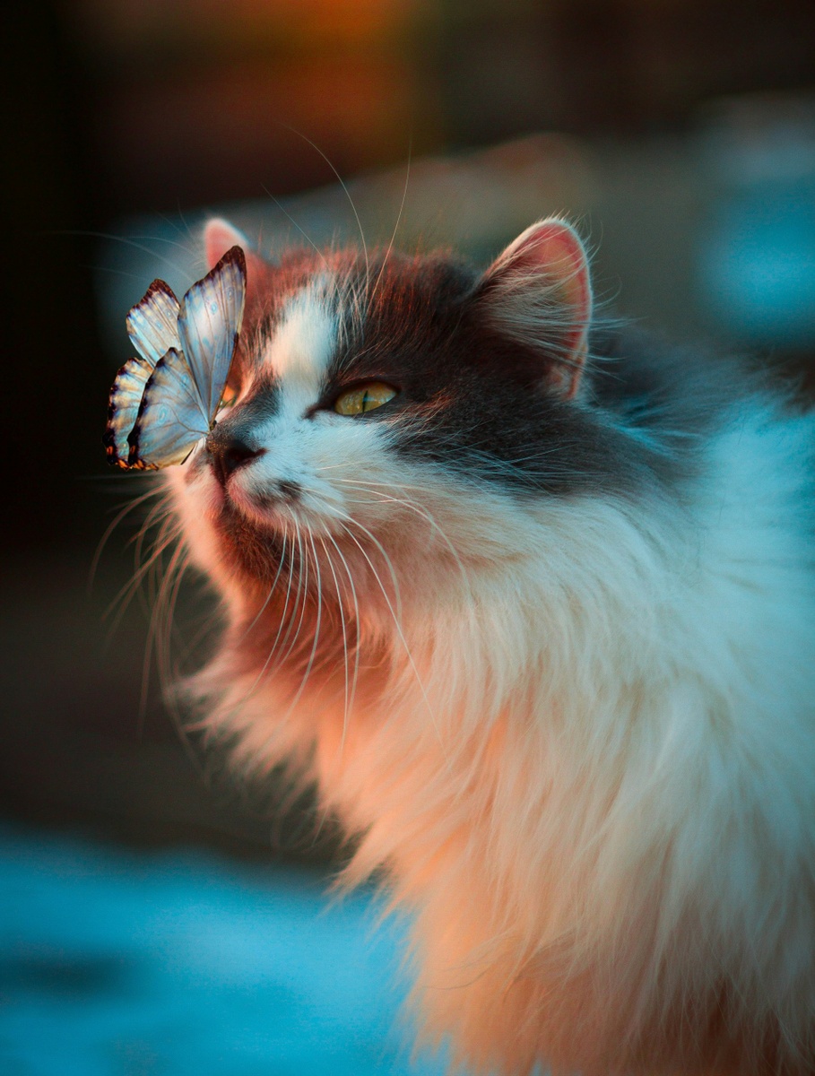 Weekly Market Insights: Stocks Stage Comeback After Heavy Monday