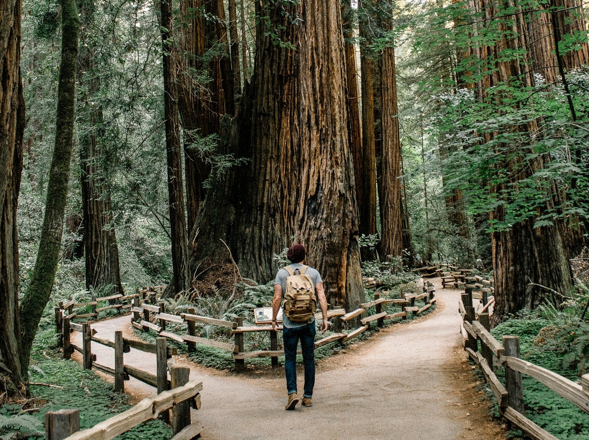 What can I do with my employer-sponsored plan when I retire or change jobs?