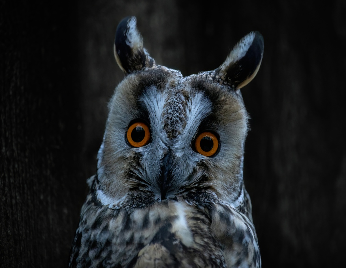 Weekly Market Insights: Investors Shift, Anticipating Lower Interest Rates