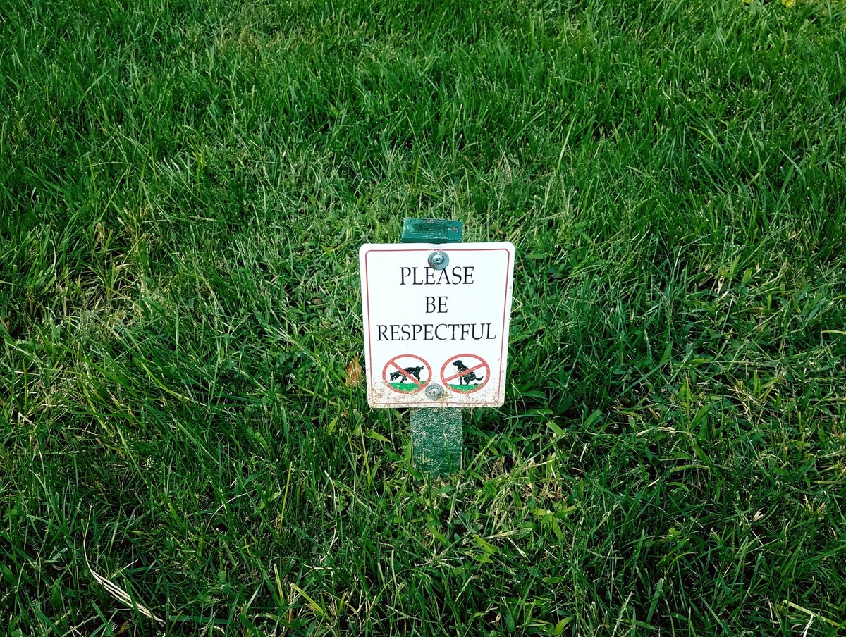 The Wooden Nickel:  The Little Things