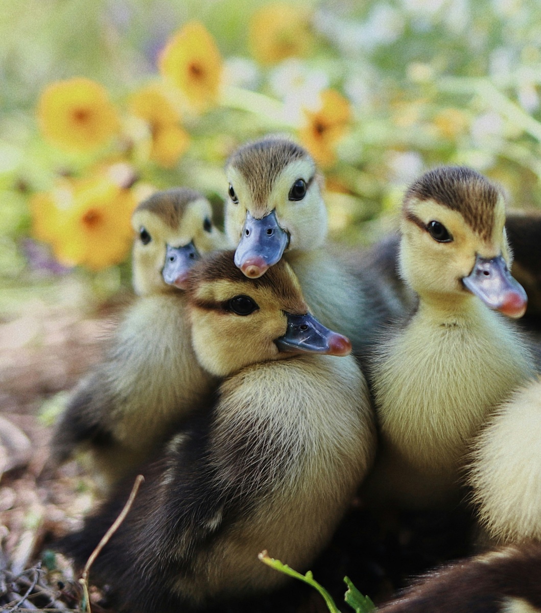 Weekly Market Insights | Markets Cheer U.S./E.U. Trade Talks