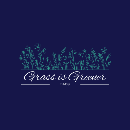 Now open: our new online home!