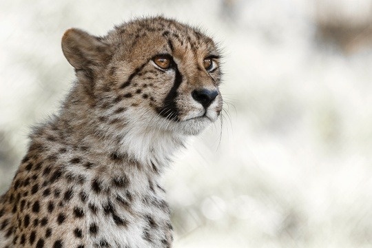 Maynerich Financial Weekly Market Insights | Markets React to Positive Trade Talk