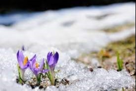 Winter to Spring