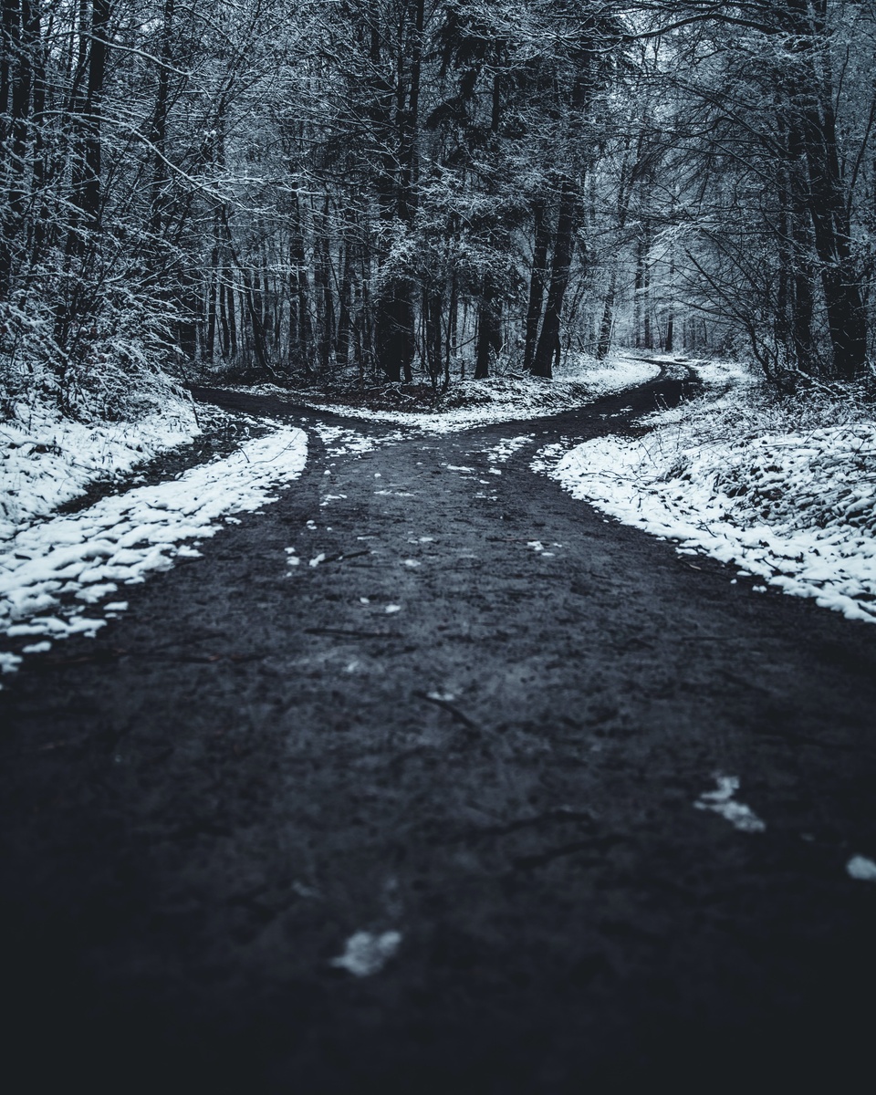 Two Roads Diverged In a Wood