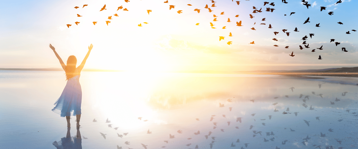 Financial Freedom, Market Volatility, and You