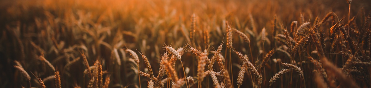 6 Smart Wealth-Building Money Habits to Start Early