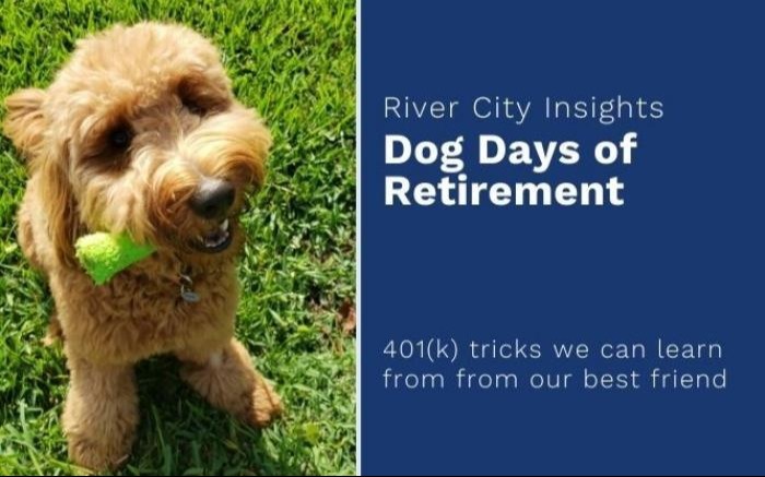 Dog Days of Retirement