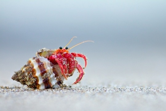 Maynerich Financial Weekly Market Insights | Markets Rise, Fed Cautious