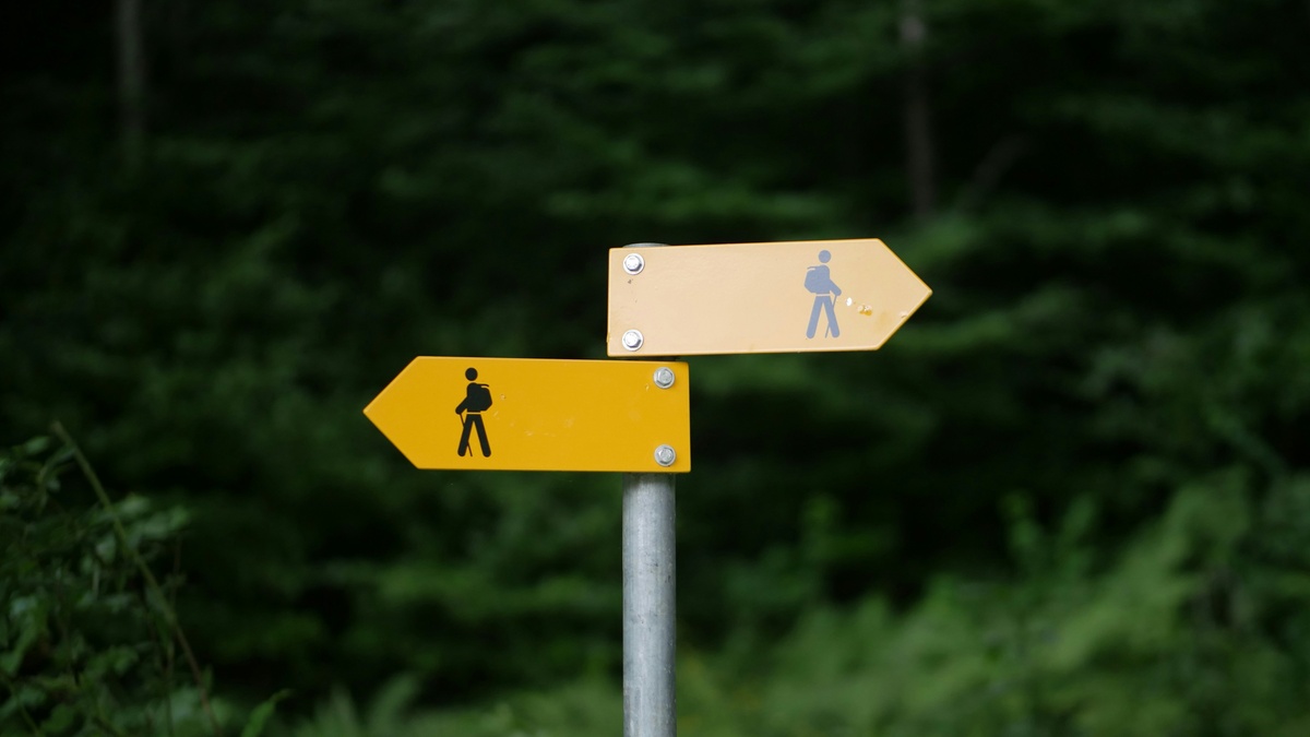 Should You Invest or Pay Off Debt?