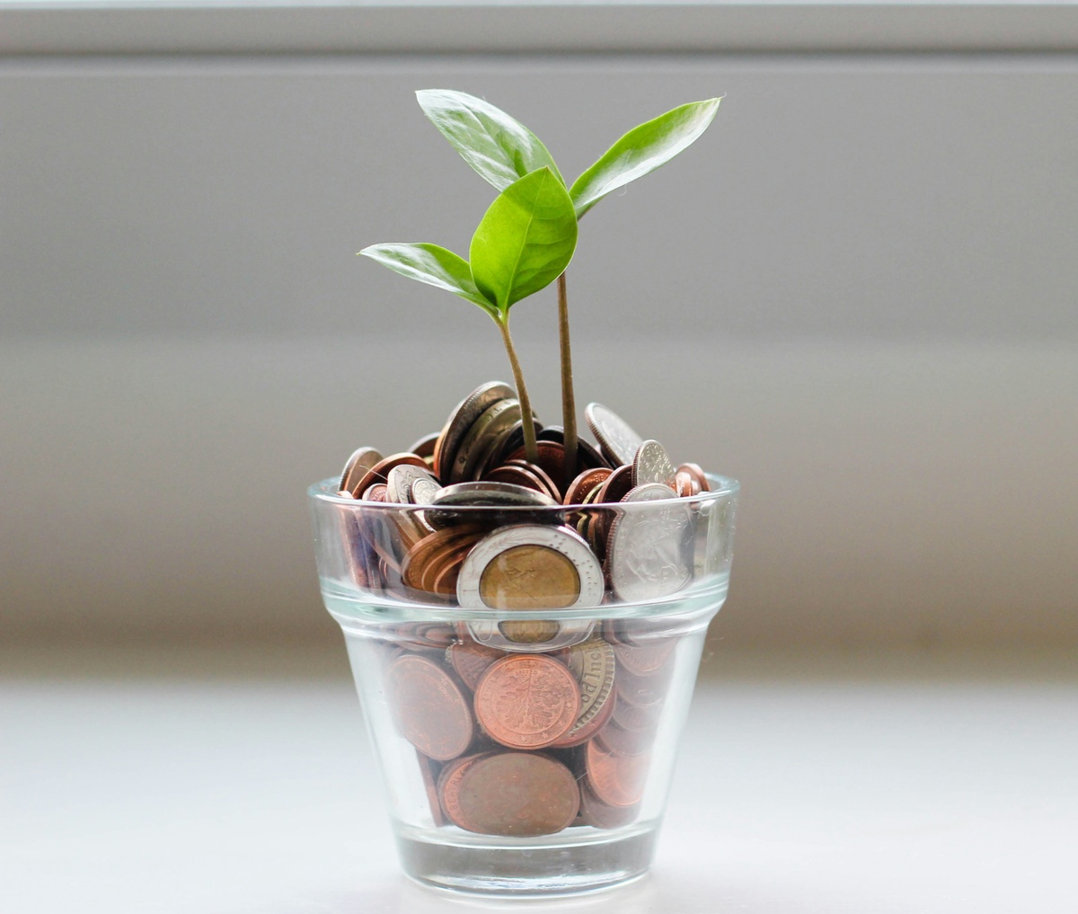 Using The Next Chapter for Personal Renewal