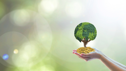 What is the Triple Bottom Line?