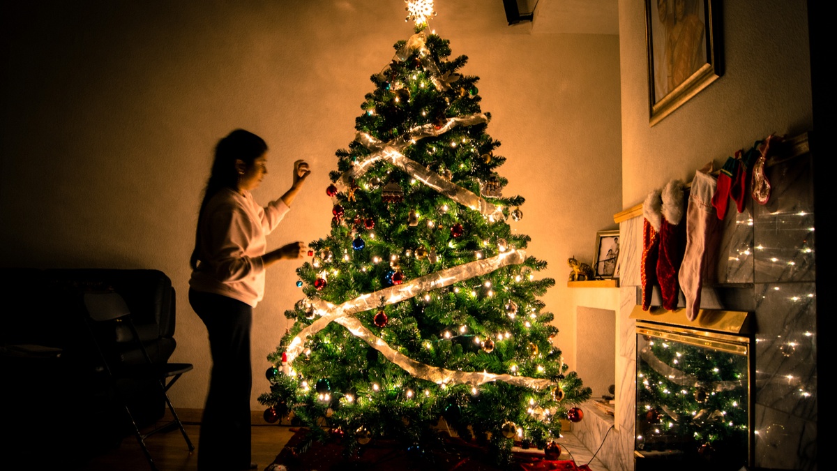Oh Christmas Tree, Oh Christmas Tree: 5 Christmas Tree Facts