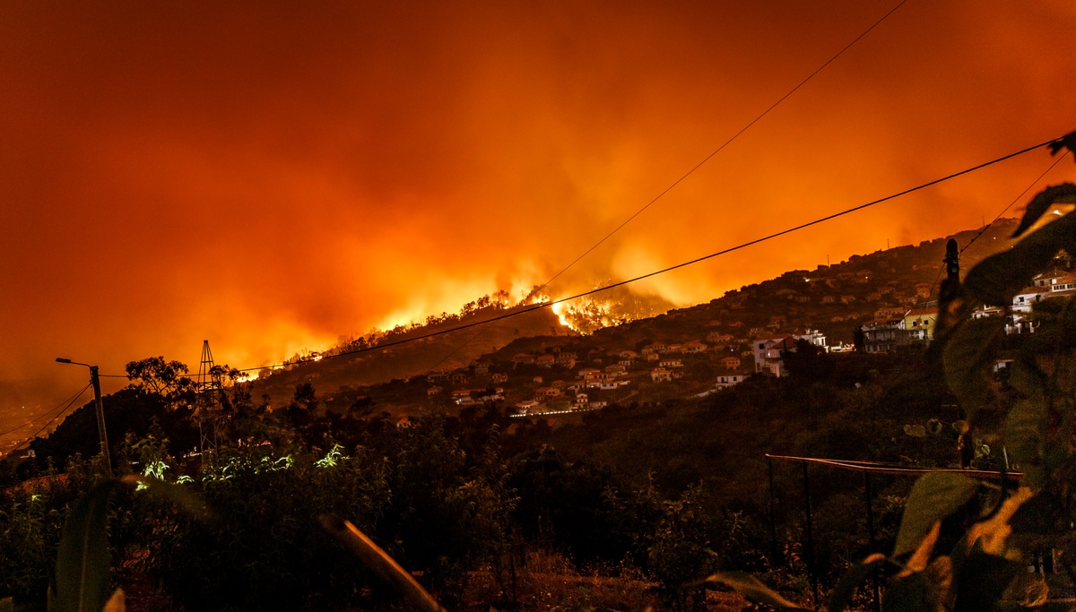 Comprehensive Wildfire Preparedness Guide for Colorado Residents