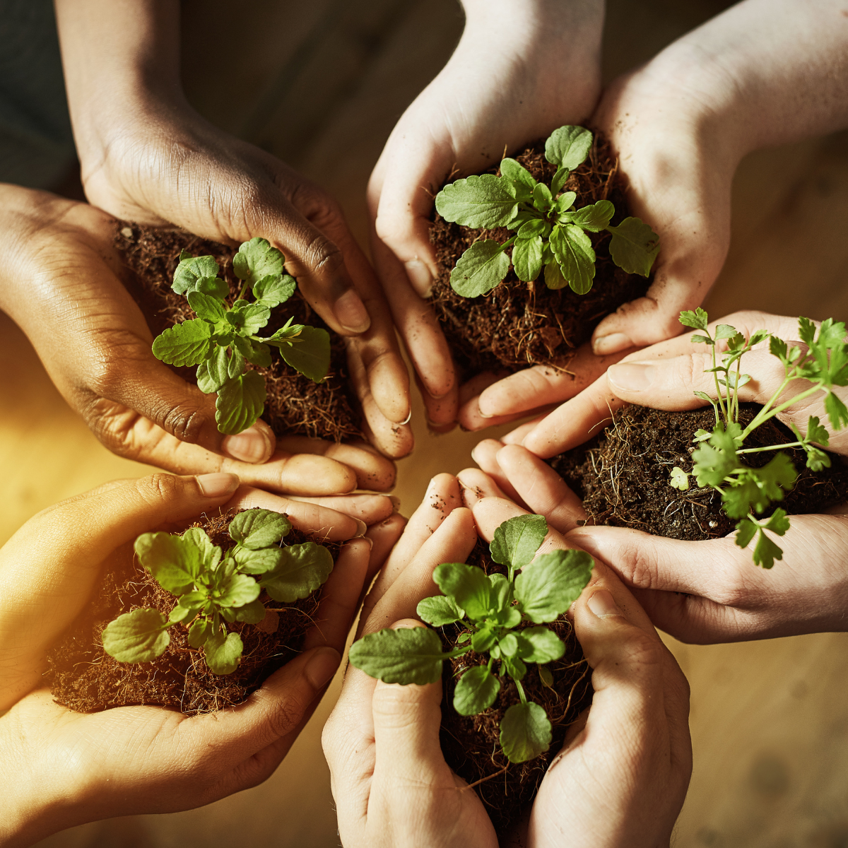 Integrating Environmental Efforts Into Your Employee Benefits