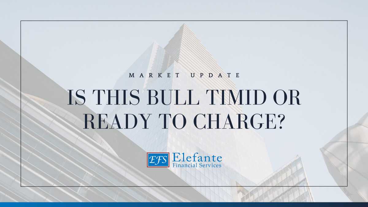 Is This Bull Timid or Ready to Charge?