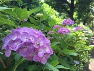 Sunny With A Chance Of Rain