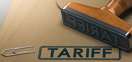 Reading the Crowd: What Google Searches Might Be Telling Us About Market Sentiment