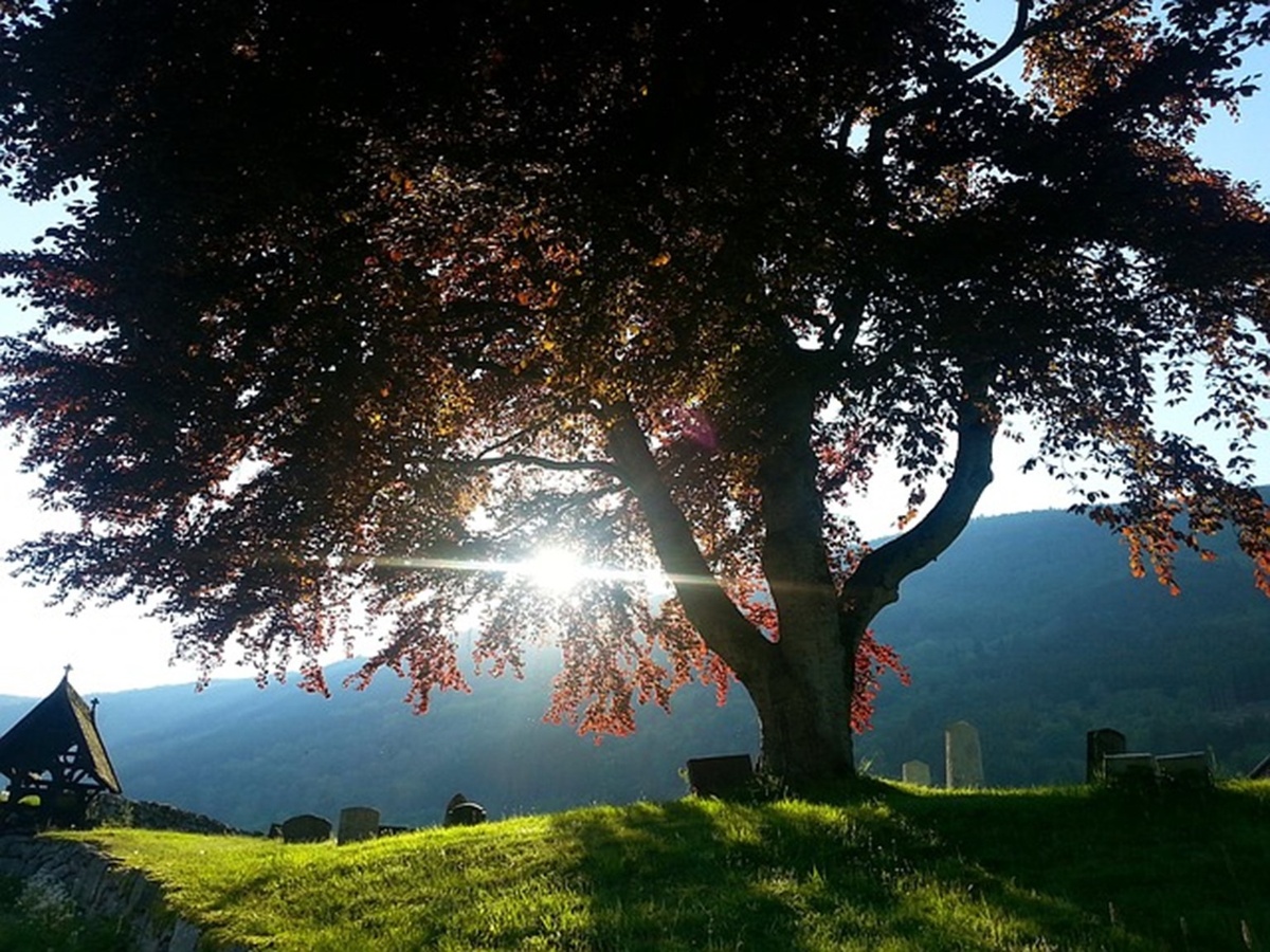 Taking Care of Loved Ones After You Pass: The Importance of Estate Planning