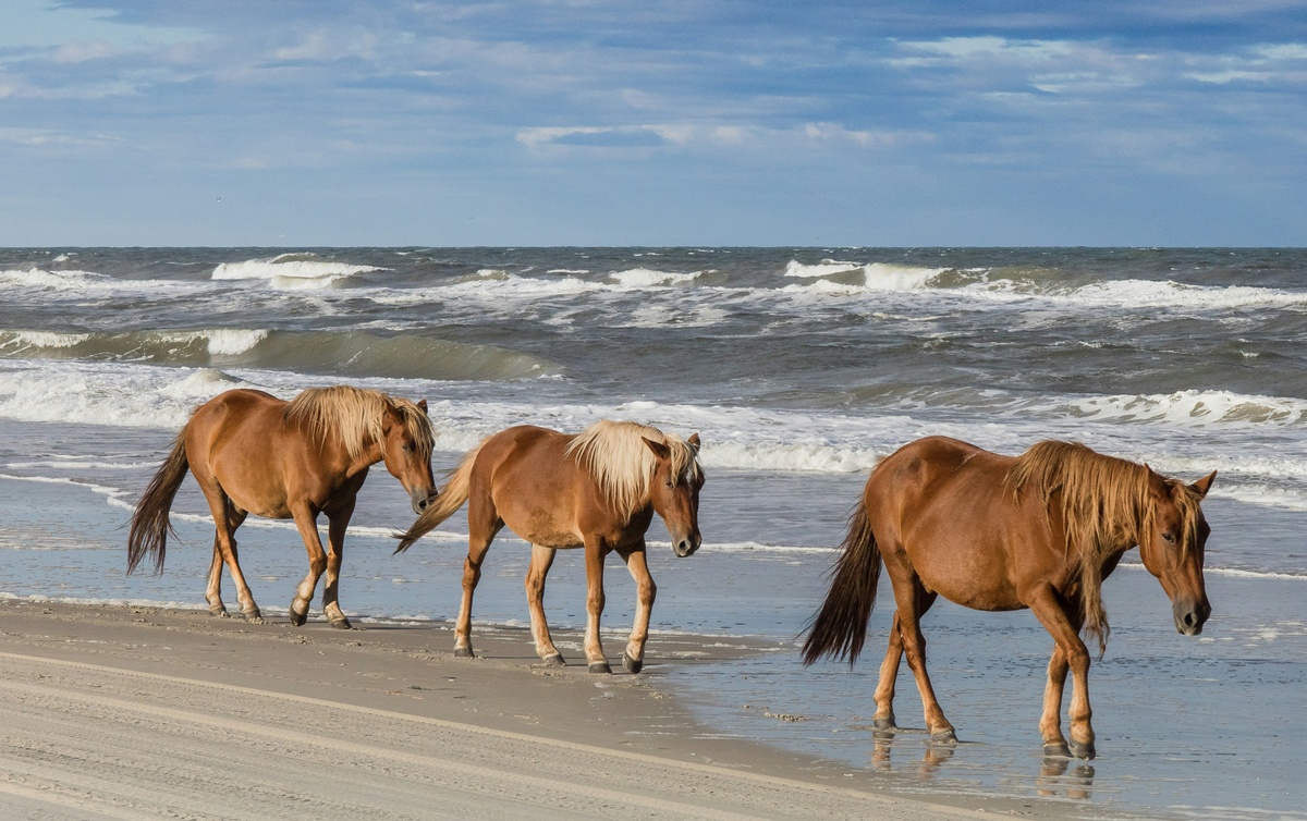 Weekly Market Insights | Markets React to Positive Trade Talk