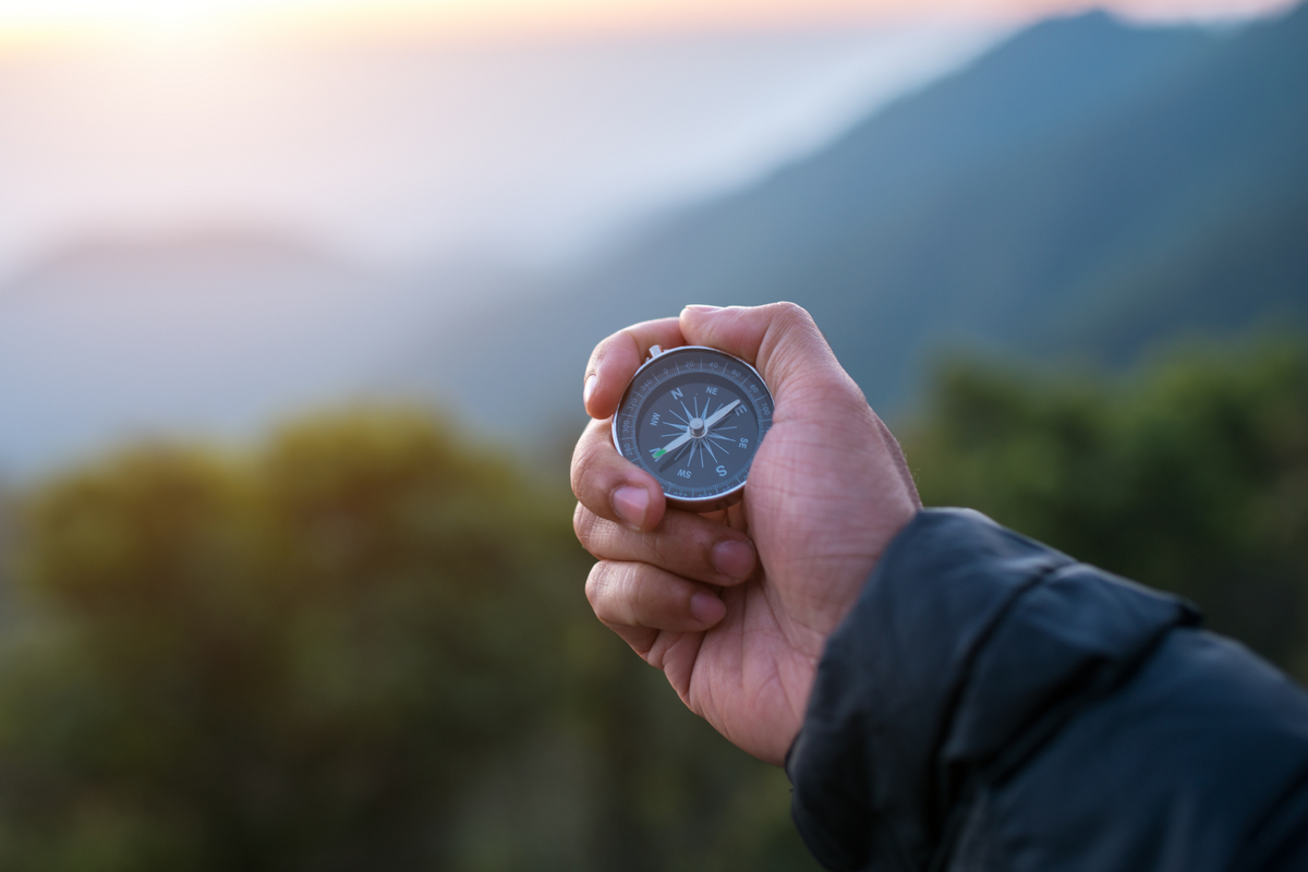 Guiding Advisors | Insights from Our COO