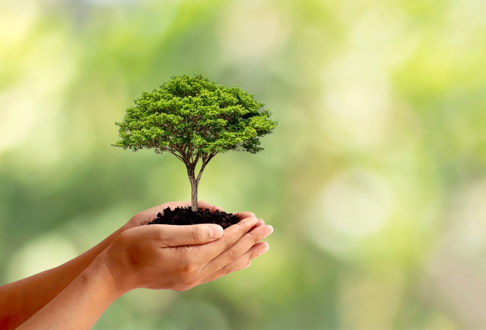 3 Advantages of Tax-Smart Financial Planning