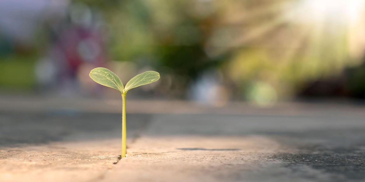 A Seed Investor True to Her Roots
