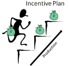 Characteristics of Bonus Incentive Plans