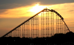 What is your tolerance for risk?