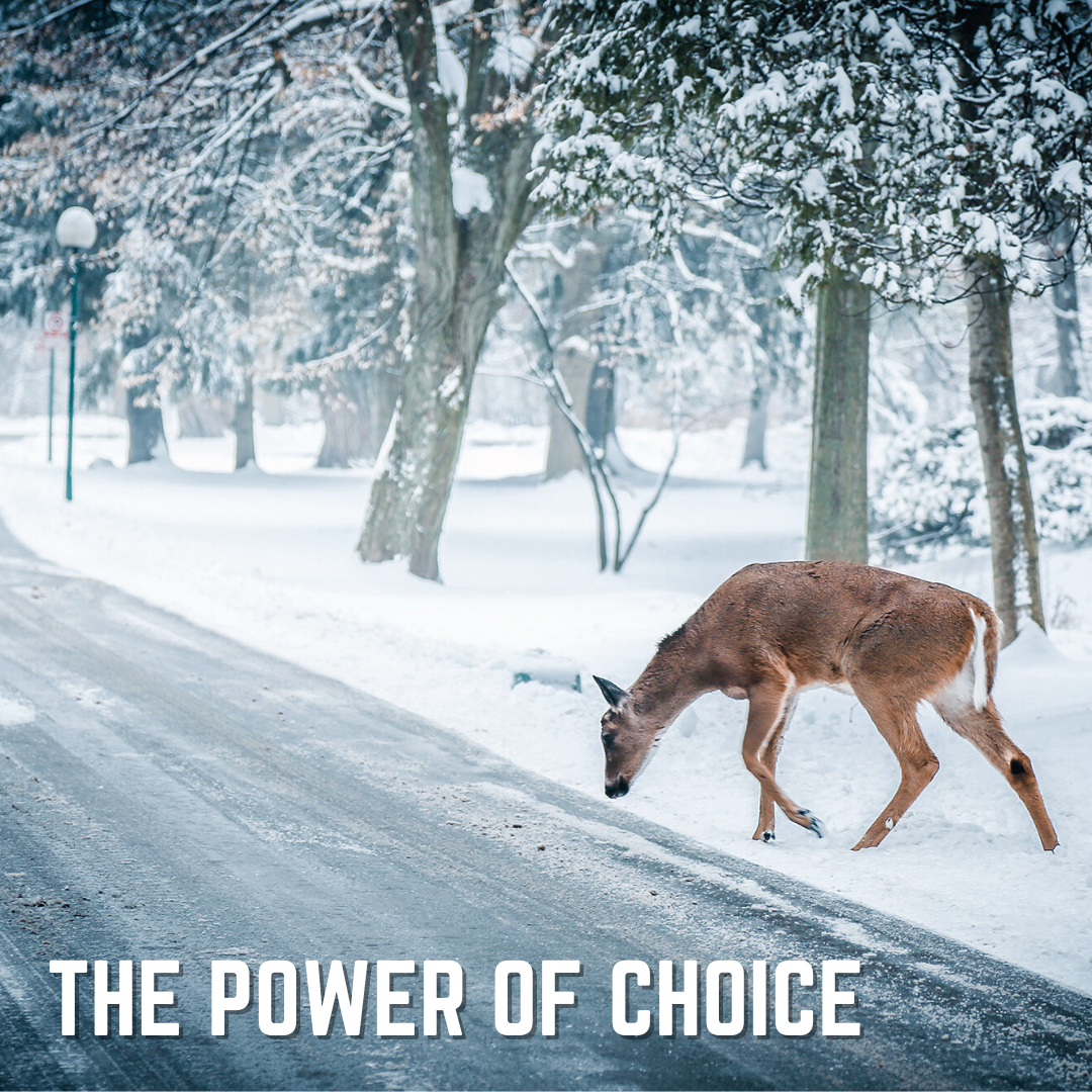 The Power of Choice