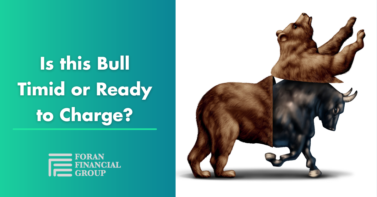 Is This Bull Timid or Ready to Charge?