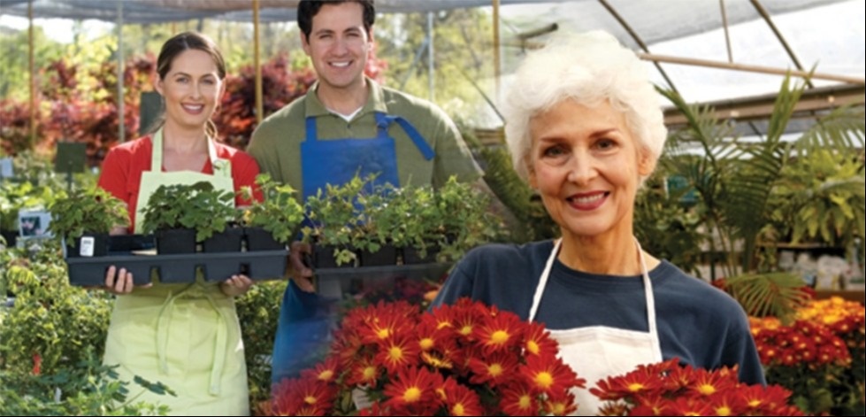 Could my family benefit from a family limited partnership?