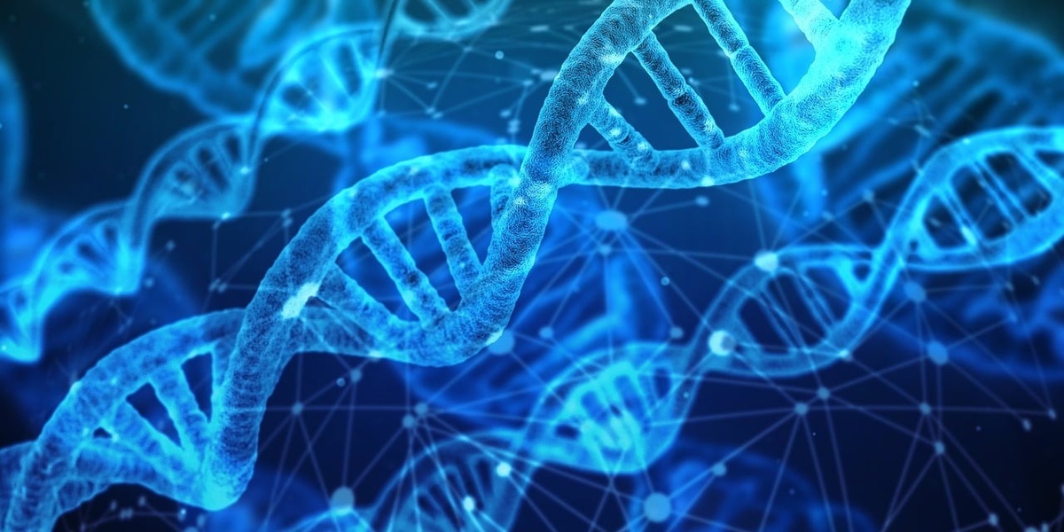 Can We Change Our DNA? The Power of Epigenetics