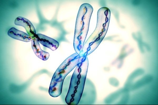 SSA Names 9 New Compassionate Allowance Conditions in 2024